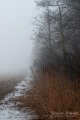 013_Biebrza - kwiecien 2011